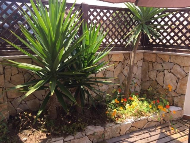 Surf Loft Open Space Ericeira Exterior foto